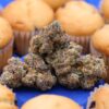 blueberry muffin marijuana